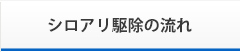 シロアリ駆除の流れ