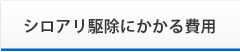 シロアリ駆除にかかる費用